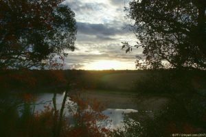 Clôture 2017 - Photo 103