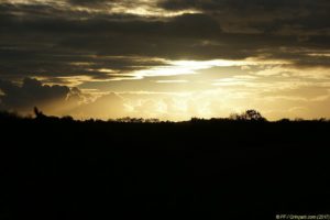 Clôture 2017 - Photo 104