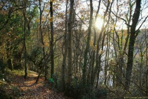 Clôture 2017 - Photo 105