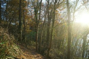 Clôture 2017 - Photo 106