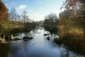 Clôture 2017 - Photo 107