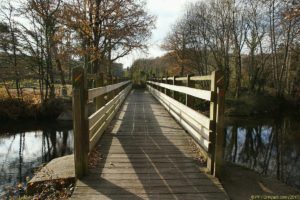 Clôture 2017 - Photo 108