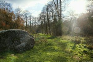 Clôture 2017 - Photo 109