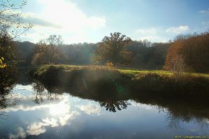 Clôture 2017 - Photo 112