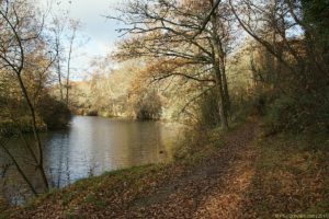 Clôture 2017 - Photo 113