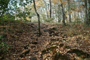 Clôture 2017 - Photo 115