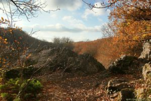 Clôture 2017 - Photo 116