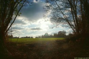 Clôture 2017 - Photo 117