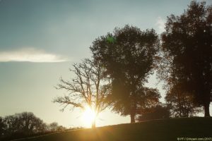 Clôture 2017 - Photo 118