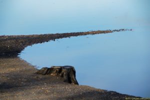 Clôture 2017 - Photo 120