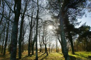 Clôture 2017 - Photo 121