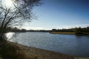 Clôture 2017 - Photo 124