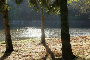 Clôture 2017 - Photo 126