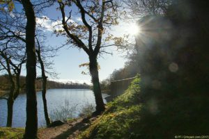 Clôture 2017 - Photo 127