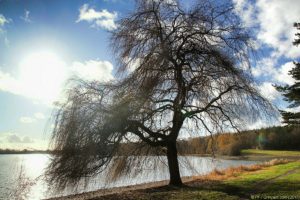 Clôture 2017 - Photo 128