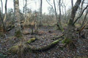 Clôture 2017 - Photo 129