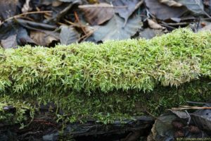 Clôture 2017 - Photo 130