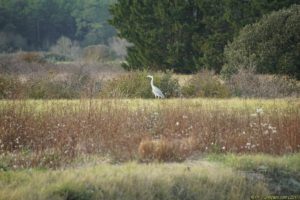 Clôture 2017 - Photo 131