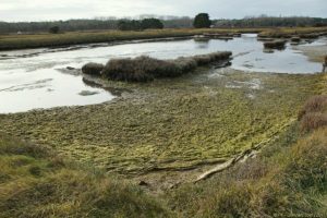 Clôture 2017 - Photo 132