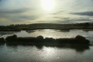 Clôture 2017 - Photo 133