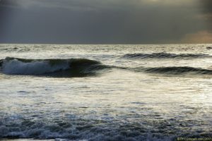 Clôture 2017 - Photo 135