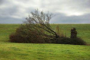 Clôture 2017 - Photo 137