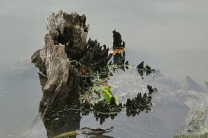 Clôture 2017 - Photo 139