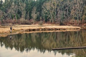 Clôture 2017 - Photo 140