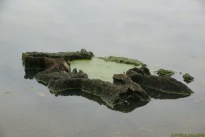 Clôture 2017 - Photo 141