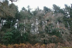 Clôture 2017 - Photo 143