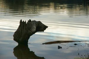 Clôture 2017 - Photo 144