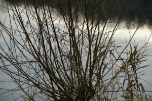 Clôture 2017 - Photo 145