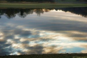 Clôture 2017 - Photo 149