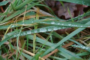 Clôture 2017 - Photo 151