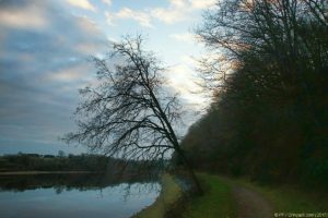 Clôture 2017 - Photo 152