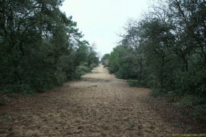 Clôture 2017 - Photo 153