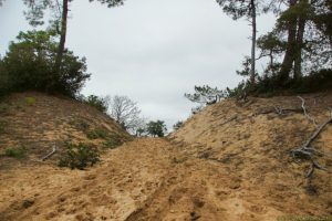 Clôture 2017 - Photo 154