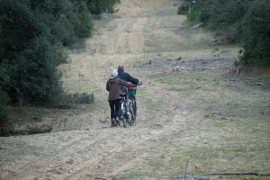 Clôture 2017 - Photo 155