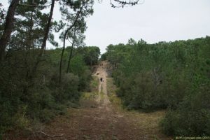 Clôture 2017 - Photo 156