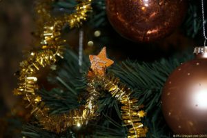 Clôture 2017 - Photo 160