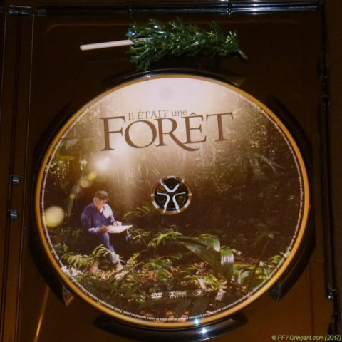 Coffret DVD “Il ÉTAIT une FORÊT” de Luc Jacquet (2013)