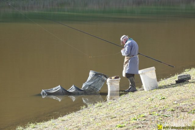 Koï, le carpiste – 1