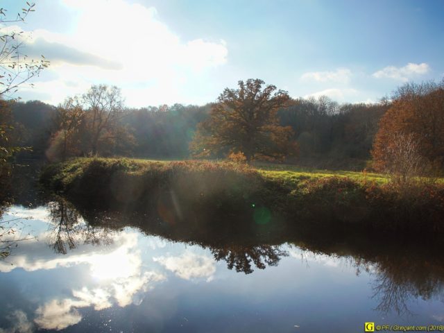 De l'autre côté de la rivière, dans sa prairie, fin novembre 2017