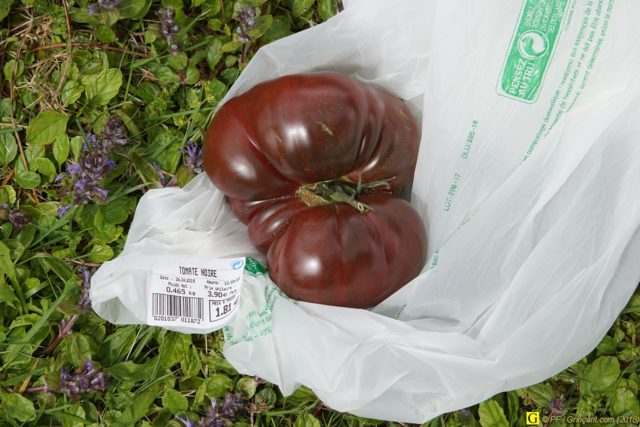 Précieuse tomate noire à 1,81 €