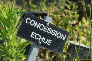 10 – Balade bucolique dans un cimetière