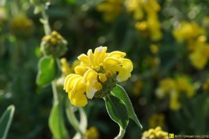 13 – Balade bucolique dans un cimetière