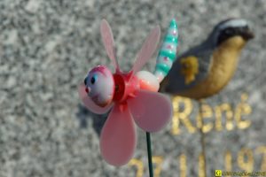 28 – Balade bucolique dans un cimetière