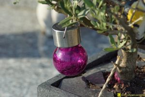 30 – Balade bucolique dans un cimetière