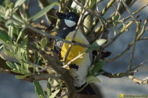31 – Balade bucolique dans un cimetière