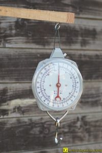 Balance pour pesée compost